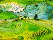 Immersion au cœur du Vietnam authentique